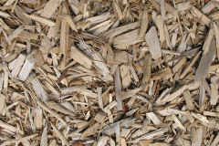 biomass boilers Chute Forest
